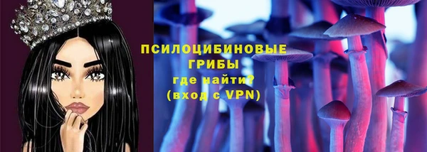 ешки Алзамай